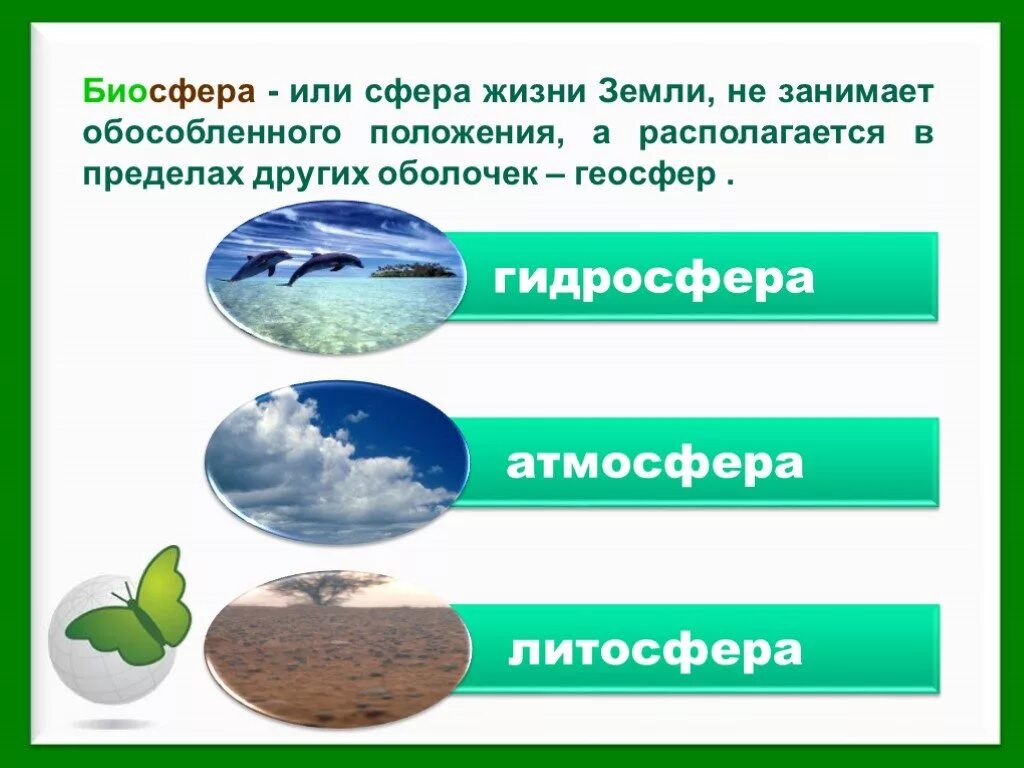 Где наибольшая концентрация живых организмов. Biosefera. Биосфера. Биосфера земли. Биосфера это в экологии.