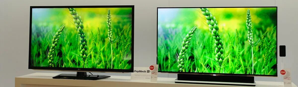 Чем отличаются телевизоры led. Светодиодные (led) и (OLED) телевизор. Led или OLED телевизор. Лед олед в чем разница телевизоры. WLED led отличие.