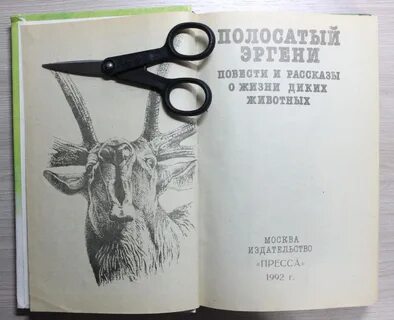 Дикая жизнь рассказы