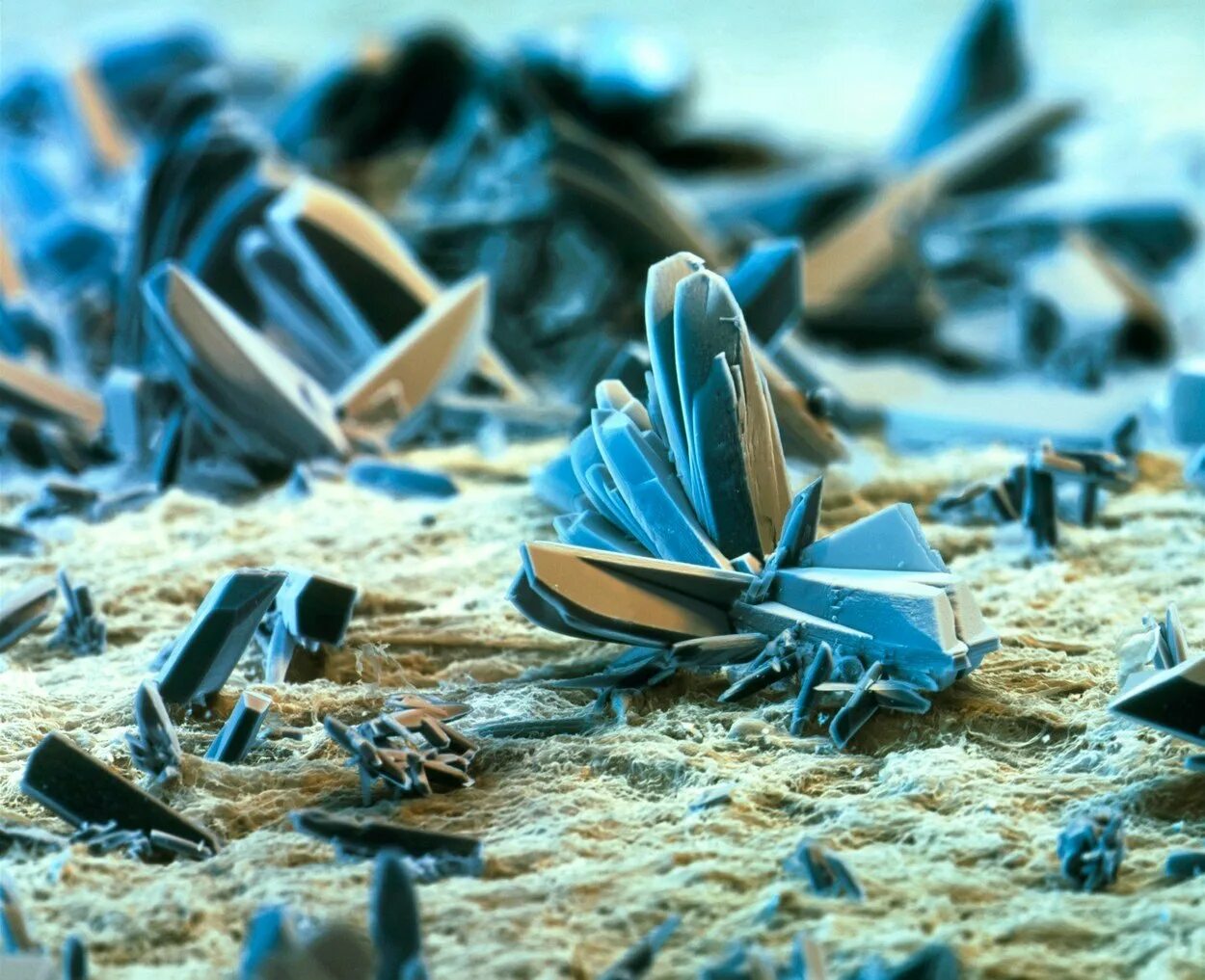 Штат орегон природа. Сдержанный человек. Дизайнер ювелирных украшений. Наполнитель для подарочной коробки. Spice шалфей.