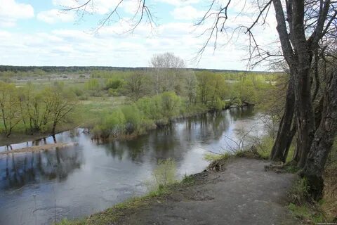 Брянск хотылево маршрутки