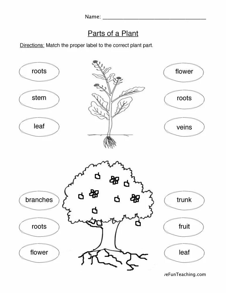 Flower exercise. Деревья задания. Растения задания для дошкольников. Деревья задания для детей. Лес деревья задания для дошкольников.