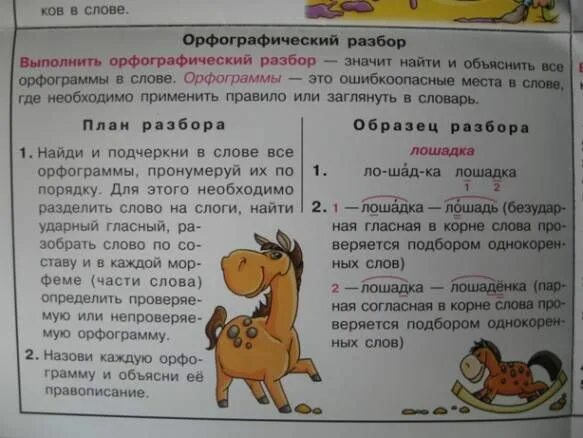 Цифра 4 над словом 3 класс. Разборы по русскому языку. Виды разборов в русском языке. Виды разбора слова. Все разборы слов в русском языке.