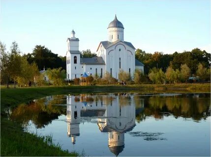 Гомель белица