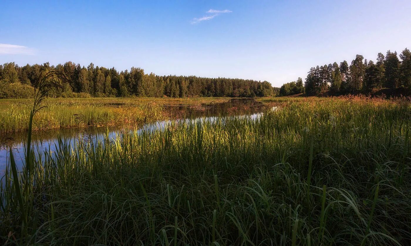 Река Покша Кострома. Костромка река в Костроме. Русиловское озеро Костромской области. Река Тебза Костромская область. Реки озера костромской области