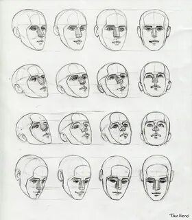 Голова для рисования