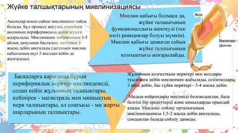 Жағажайдағы бейне флеш секс