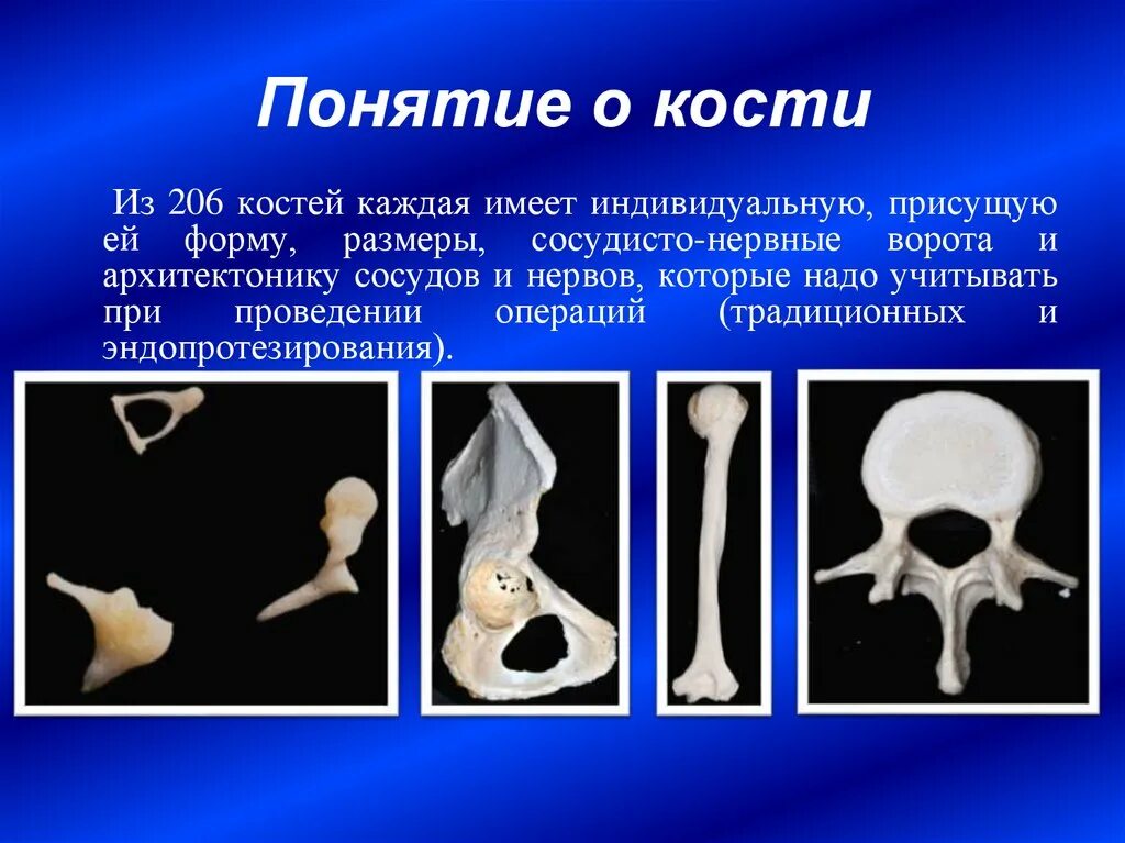 Отличить кость. Кость понятие. Термина кости. Кости определение. Общее понятие о костях.