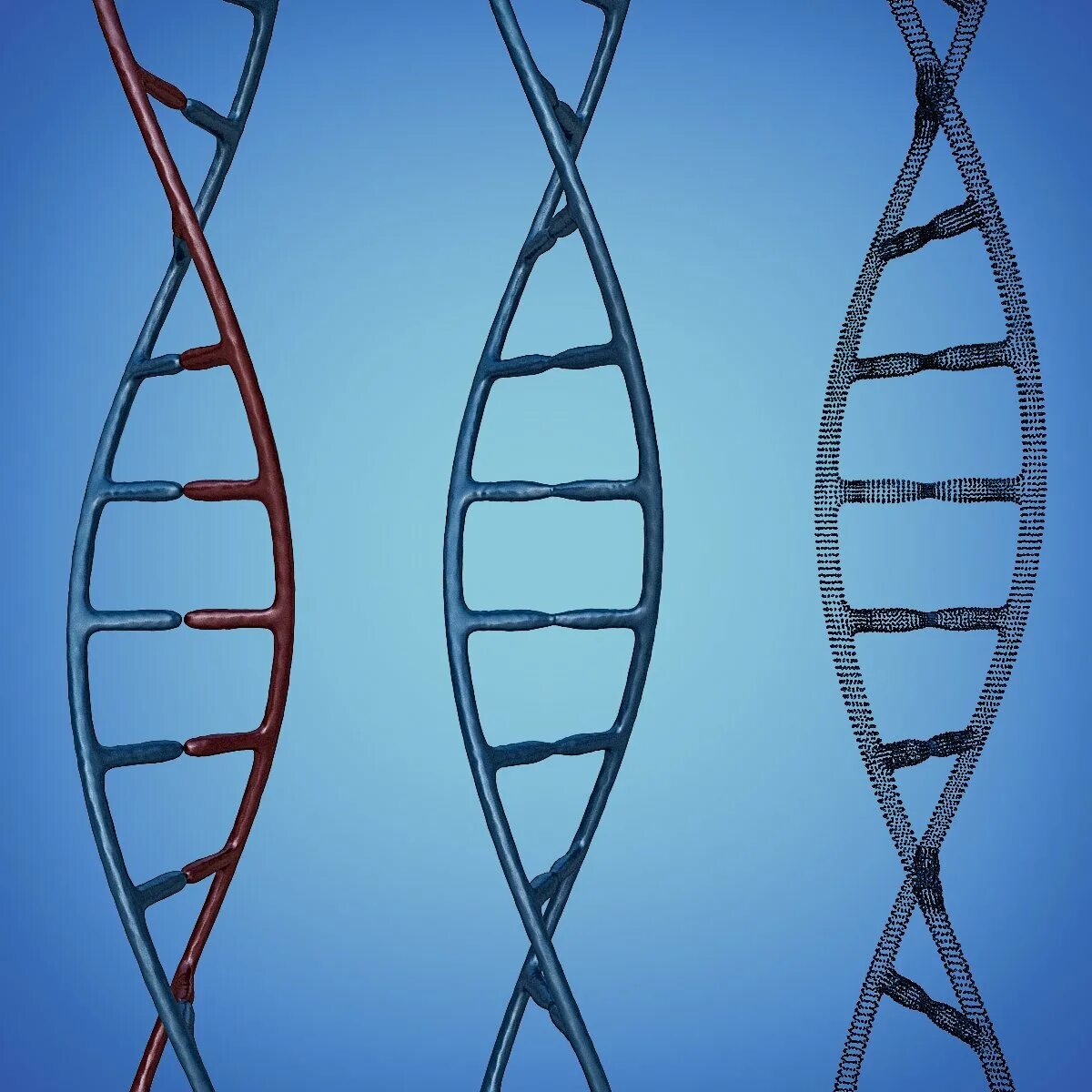 3д модель ДНК для 3д принтера. DNA 3d model. Модель ДНК. 3д моделирование ДНК.