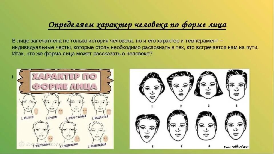 Как определить избранного человека. Характер человека. Типы формы лица. Черты лица темпераментов. Титип личности по типу лица.