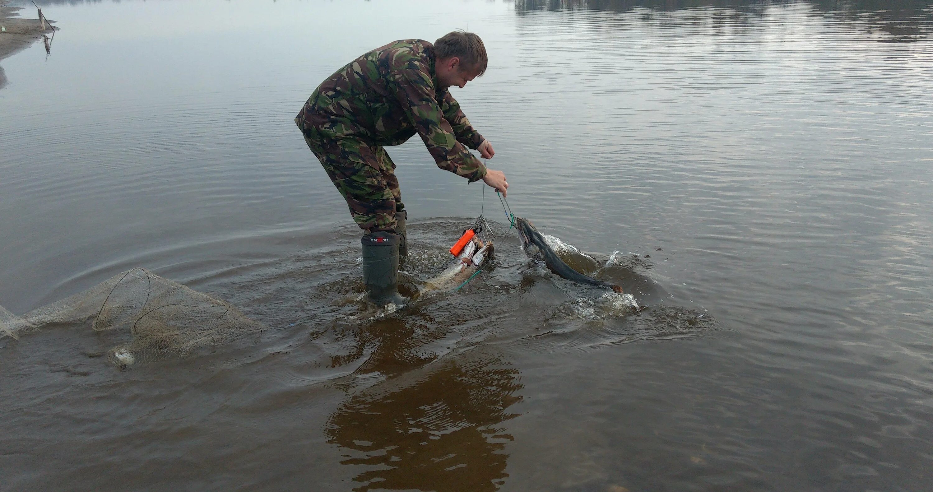Река Вятка рыбалка. Рыба в реке Вятка Кировской области. Рыбалка на реке Вятка Кировская область. Рыба реки мёша.