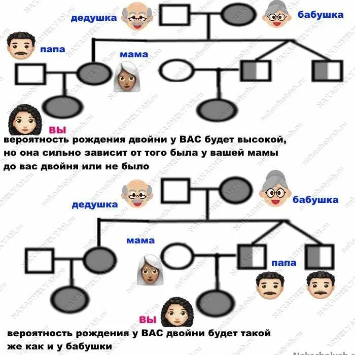 Если в роду была двойня