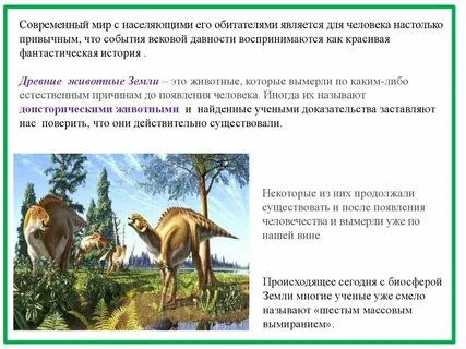 Древние животные проект