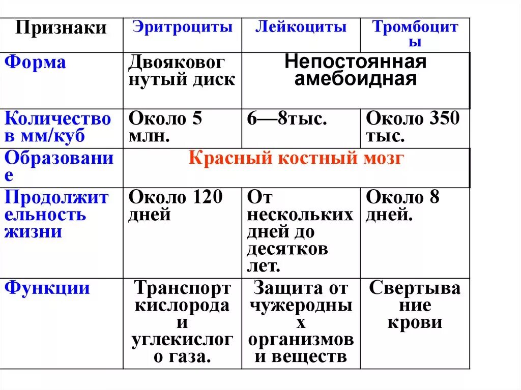 Функции клеток крови таблица. Таблица клетки крови эритроциты лейкоциты тромбоциты. Признаки эритроциты лейкоциты тромбоциты таблица. Таблица форменные элементы крови тромбоциты эритроциты лейкоциты. Характеристика эритроцитов лейкоцитов и тромбоцитов таблица.