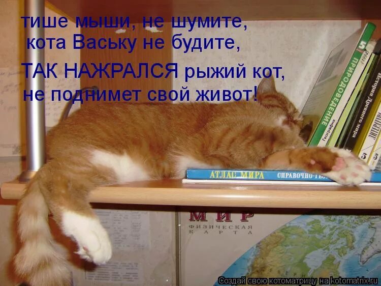 Стих про рыжего кота смешной. Стих про кота Ваську. Стих про кота Ваську смешной. Стихи про рыжих котов смешные короткие.