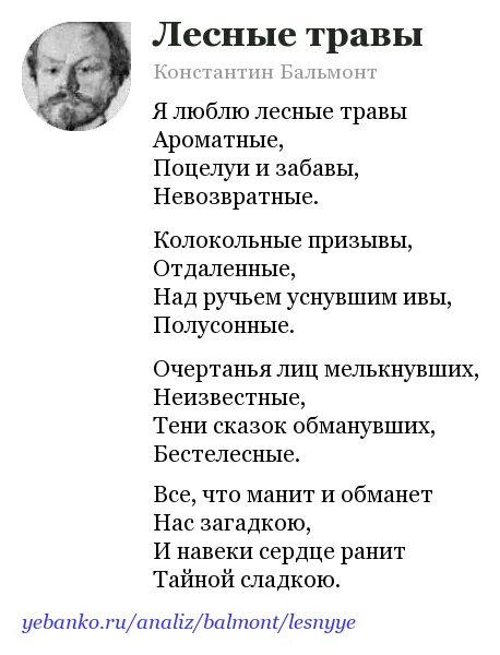 Бальмонт я изысканность русской медлительной. Лесные травы Бальмонт. Я люблю Лесные травы Бальмонт. Бальмонт стихи. Лесные травы Бальмонт стих.