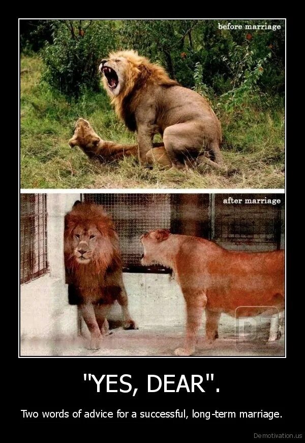 После св. Свадебные прически ожидание реальность. После св. Свадьба прикол. До свадьбы и после картинки.