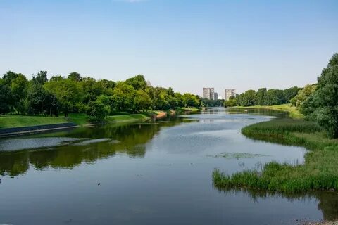 Пруд река москва