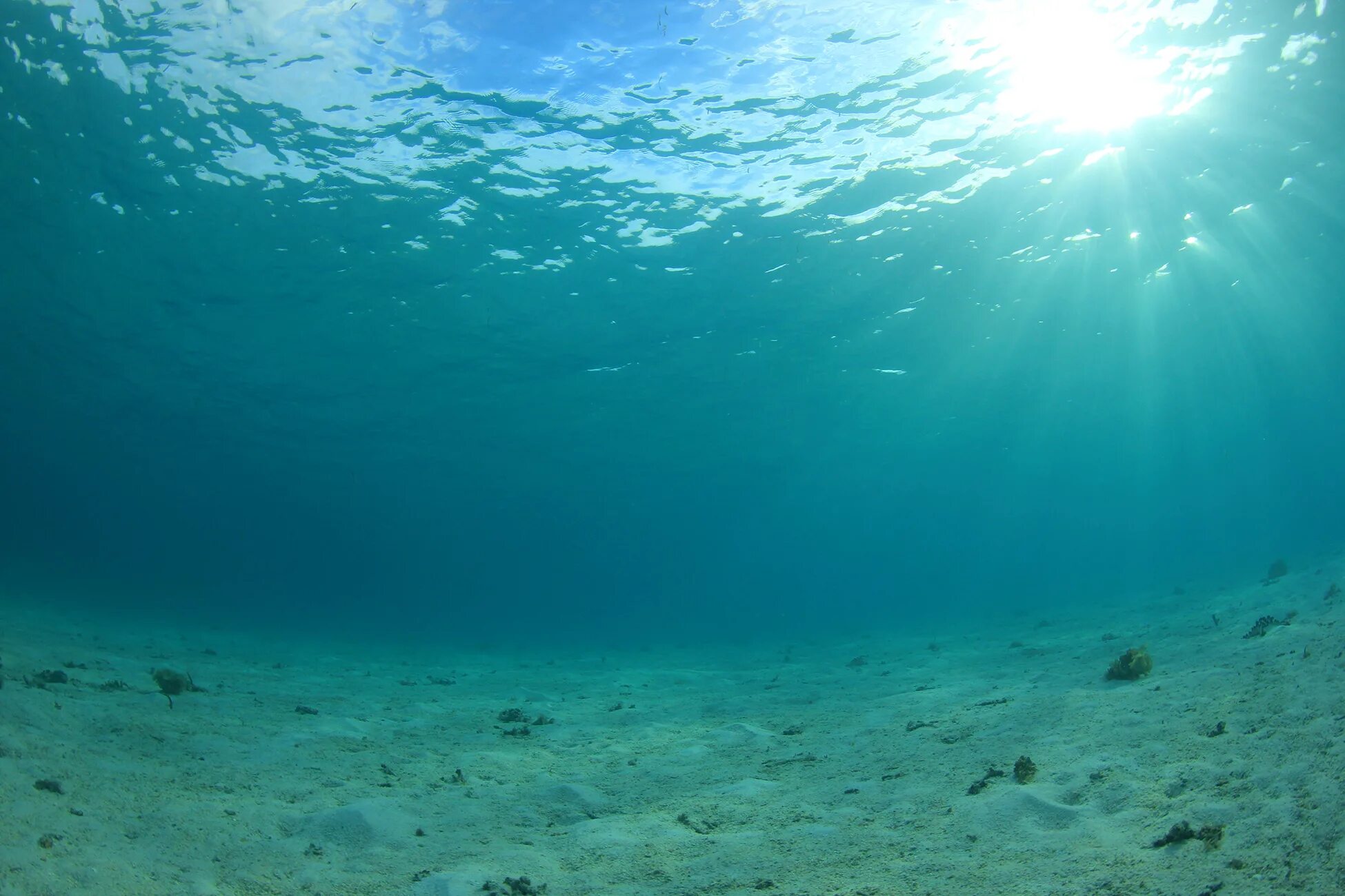 В глубь океана. Дно океана. Дно моря. Морское дно. Океан под водой.