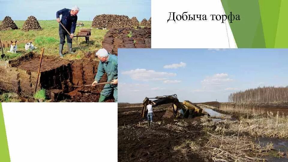 Место добычи торфа 4 класс окружающий мир. Добыча торфа в ленинградской области 4 класс. торфяные месторождения мордовии. добыча торфа в калужской области. добыча торфа в удмуртии.