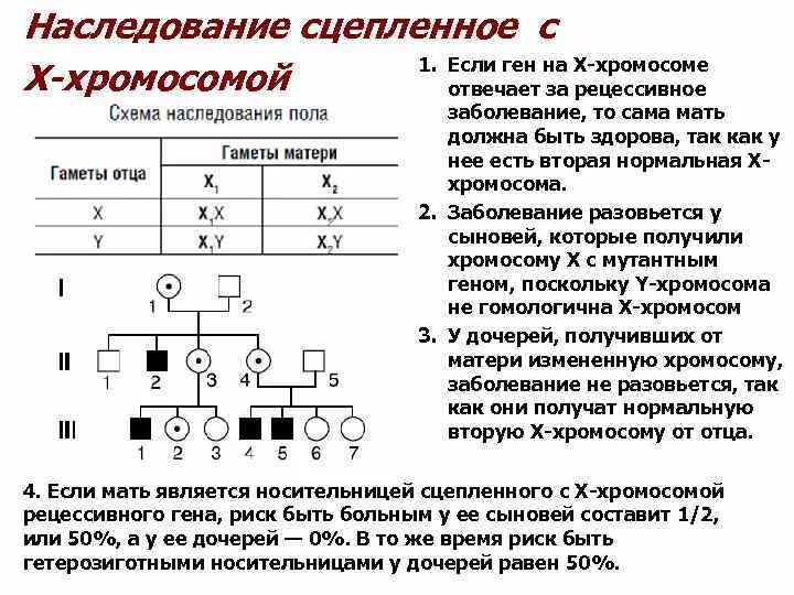 Рецессивный аутосомный ген в задаче. У сцепленный рецессивный тип наследования. схема наследования сцепленных с полом заболеваний. х сцепленный рецессивный тип наследования. x-сцепленное рецессивное наследование генотип.