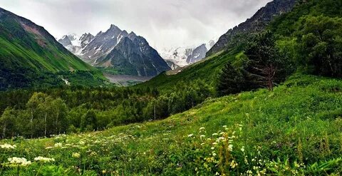 Кавказские горы кавказская равнина