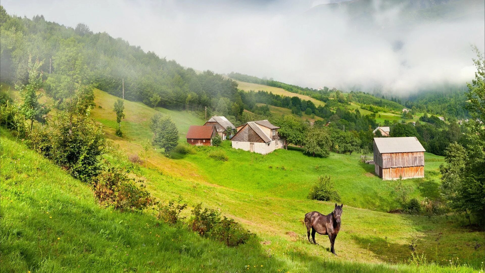 Рабочий в сельскую местность. Карпаты экопоселение. Лето в деревне. Деревенская природа. Деревенский пейзаж.