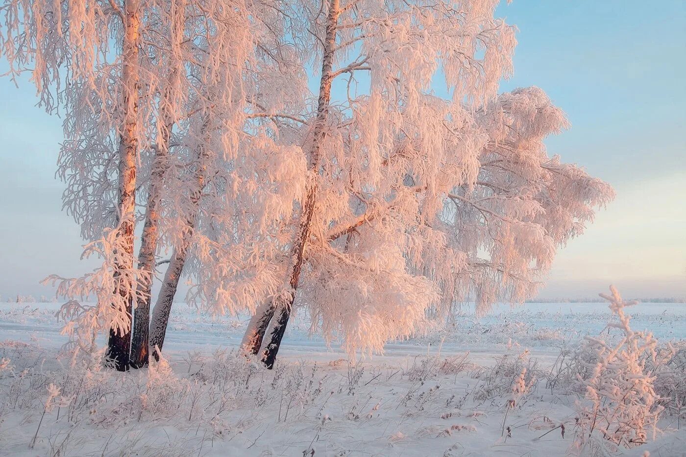 Зимнее утро. Февральский пейзаж. Красота зимы. Красота русской зимы.