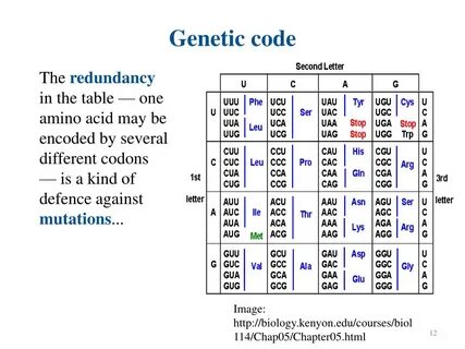 Code reading