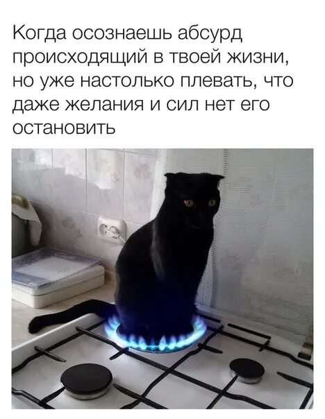 Осознал что не такой как думал. Когда осознаешь абсурд происходящий. абсурд мем. когда осознал что. когда осознаешь абсурд происходящий его уже на столько плевать мем.