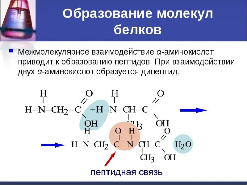 Молекула образуется в результате взаимодействия. Образование дипептидов аминокислот. Дипептиды и трипептиды. Пептид из 2 2 аминокислоты. Схема образования дипептида.