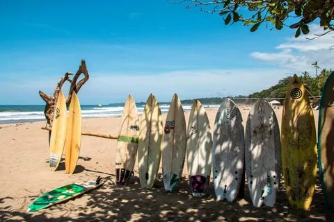 Rainbow surf beach шри ланка