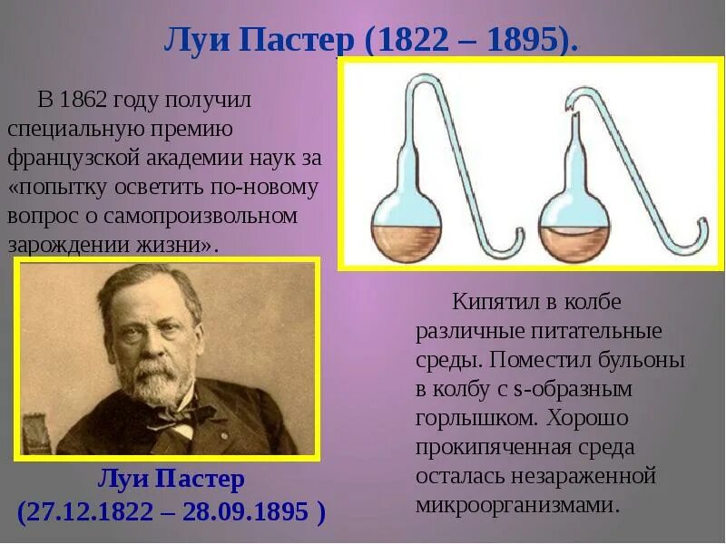 3 л пастера. Луи Пастер открытия. Важные открытия в биологии Луи Пастер. Пастеризация Луи Пастера 1862. Луи Пастер достижения в биологии.