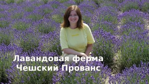 Скор хозяйка лавандовой долины