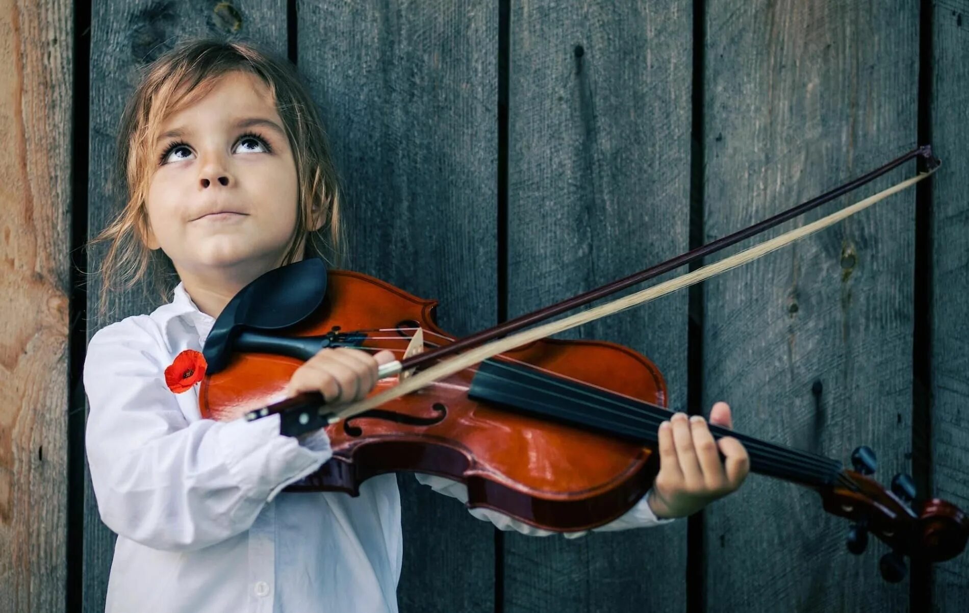 Классическая музыка 1 детям. Алиса Бельская. Судзуки скрипач. Музыкальные инструменты для детей. Дети играющие на музыкальных инструментах.