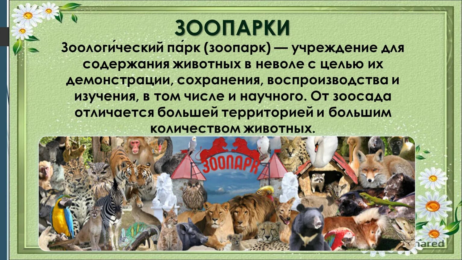 Содержание диких животных в качестве домашних питомцев. Содержание животных. Животные для оглавления. Содержание животных презентация. Жизнь животных в неволе проект.