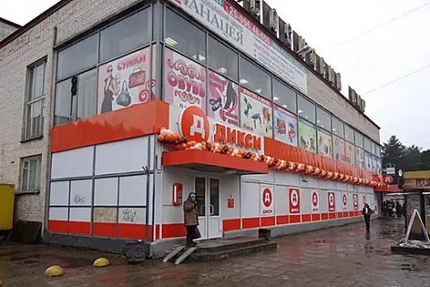 Современник бор