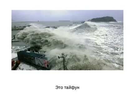 Читать тайфун