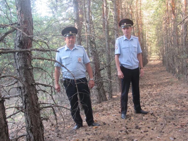 Полицейские в лесу. Милиция в лесу. Лесной полицейский.