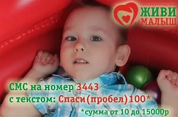 Живи малыш. Фонд живи малыш. Благотворительный фонд с номером 3443.