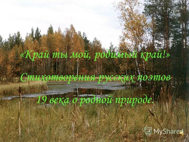 Алейск урюпино алтай это мой родимый край. Алейск урюпино алтай это мой родимый край