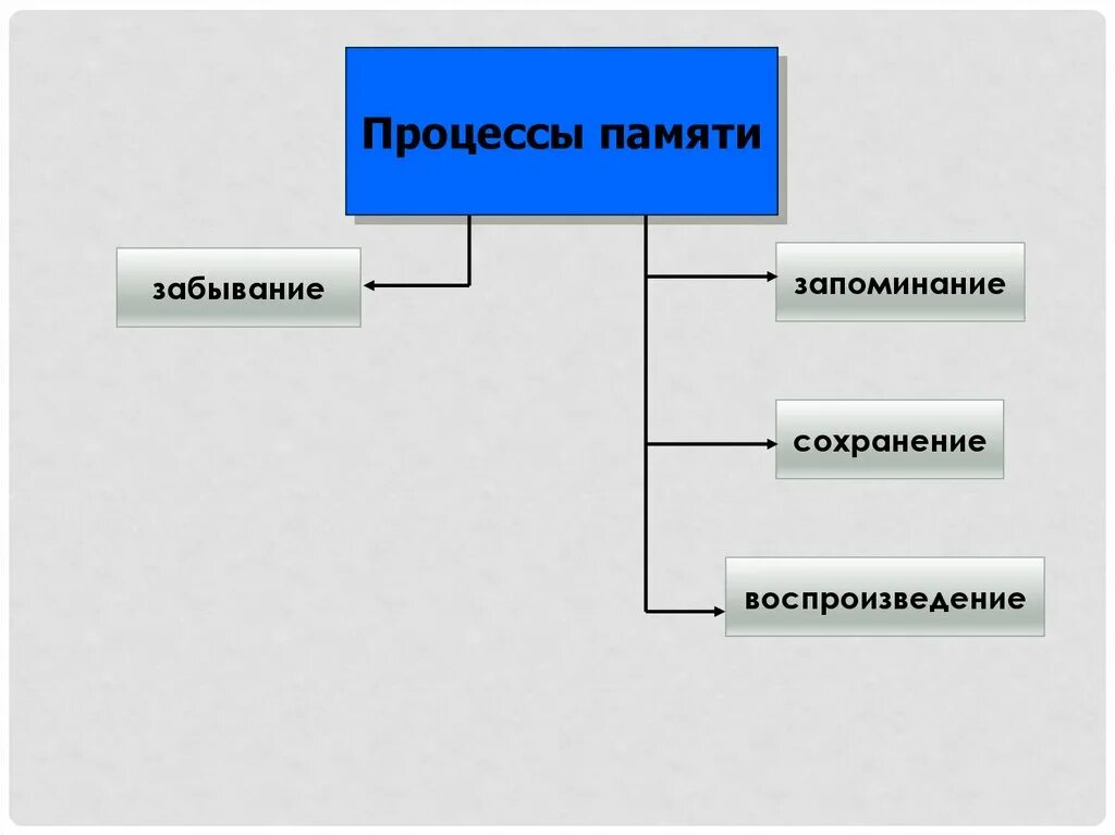 Процессы памяти человека