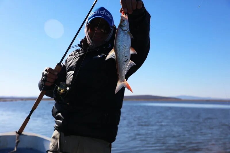 Улов 25. Улов рыбалка в приморье. Лефу приморский край. Лефу приморский край. Лефу магазин владивосток.