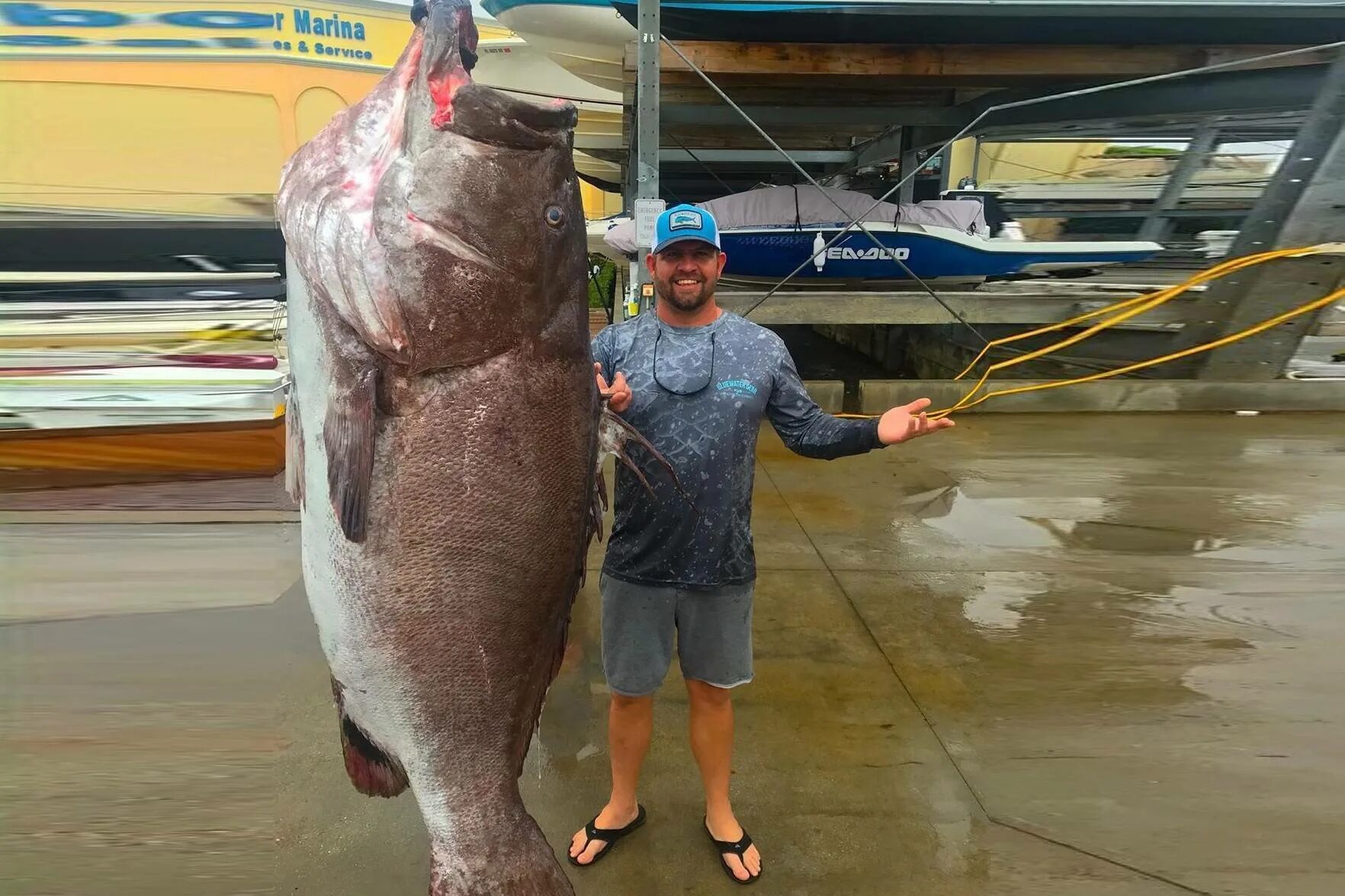 Что произошло когда удалось поймать первую рыбу. Нильский окунь 200 кг. Нильский окунь гигант. Самый большой Нильский окунь в мире.