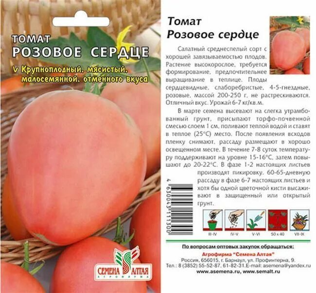 Томат сорт пылающие. Томат розовое сердце семена алтая. томат бычье сердце семена алтая. томат розовое сердце характеристика. воловье сердце томат это сорт или гибрид.