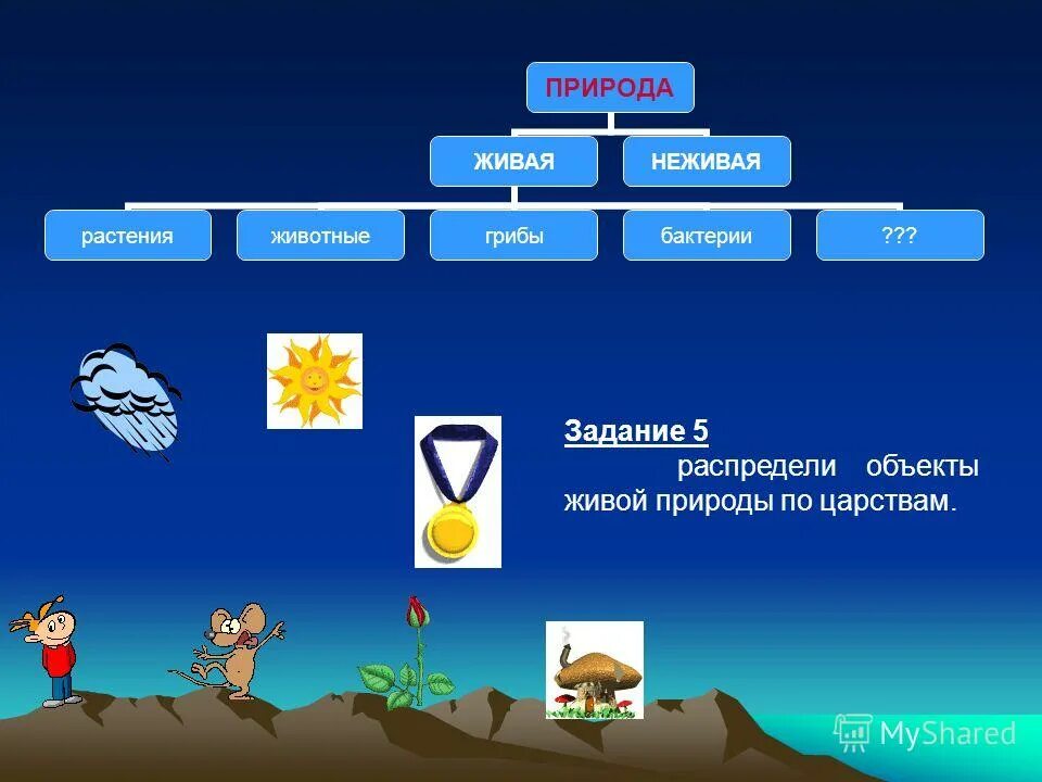 Связь живой и неживой природы. Объекты живой природы. Связь между объектами живой и неживой природы. Схема связи между объектами неживой и живой природы.