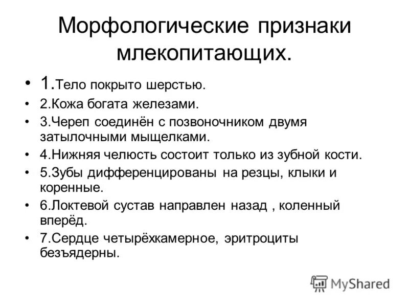 Отличительные признаки млекопитающих