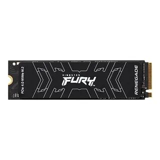 Kingston fury renegade m2
