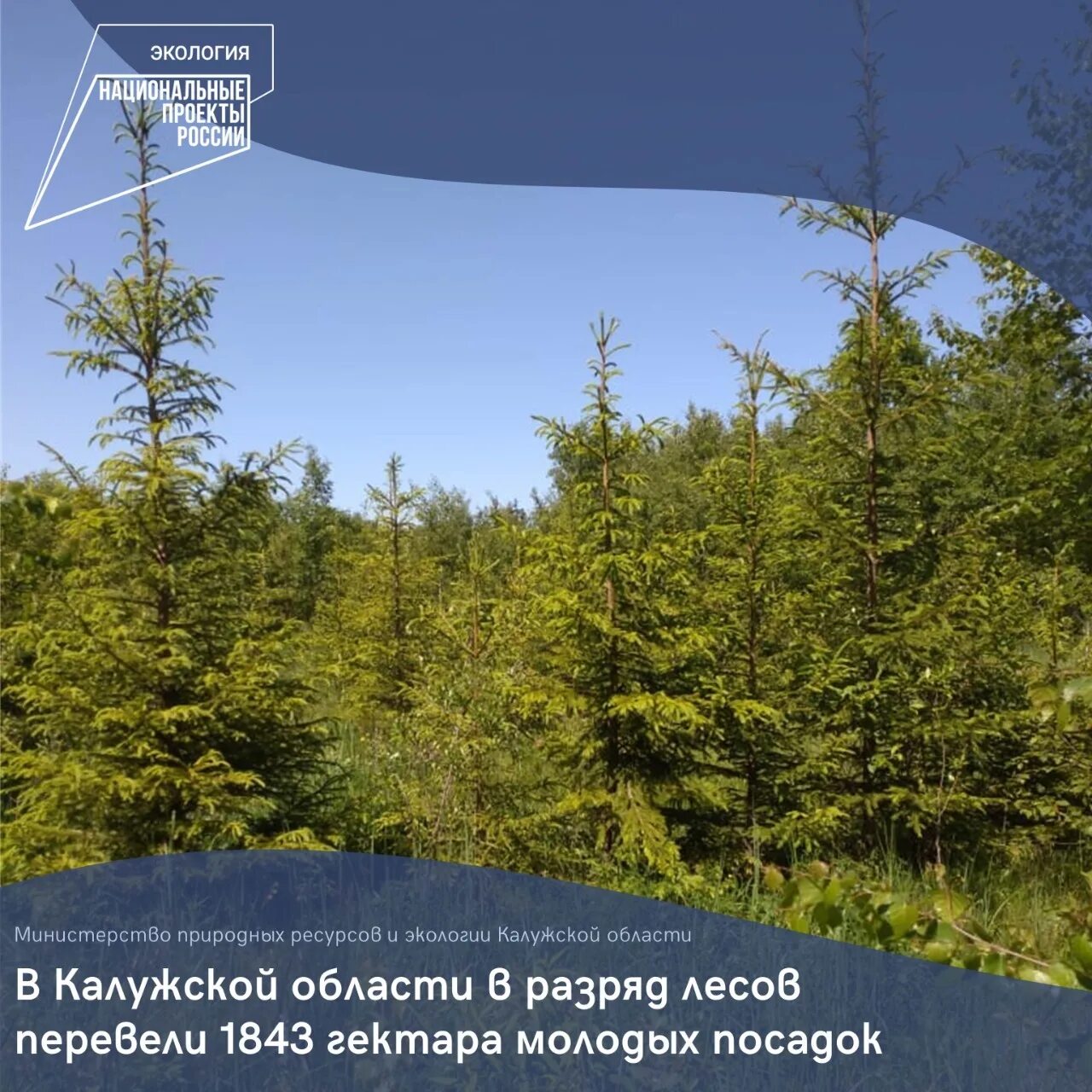 Министр природных ресурсов и экологии Калужской области. Калужская область окружающая среда. Министерство природных ресурсов и экологии Калужской области сайт. Природные богатства Калужской области. Сайт минприроды калужской области