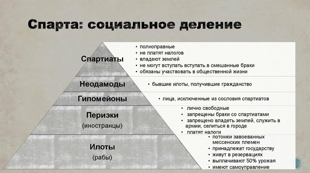 Общественный Строй Спарты. Социальное устройство древней Спарты. Социальная структура политическое устройство древней Греции. Общественный Строй Спарты схема. Классовое деление общества